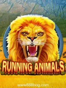 Descubra RunningAnimals: O Jogo de Aventura e Estratégia