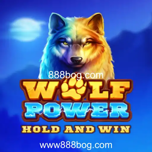 Descubra o Fascinante Mundo de WolfPower e 888bog.com